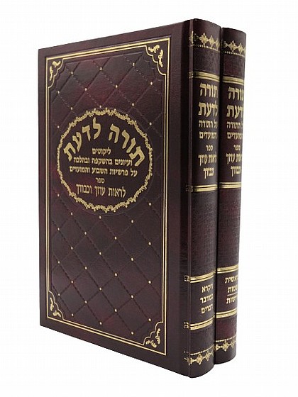 ���� ����