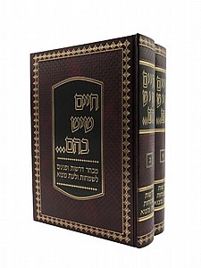 ���� ��� ���