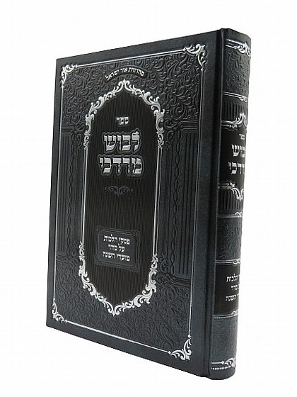 ���� �����