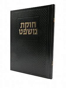 ���� ����
