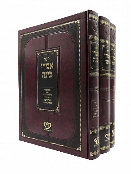 אמרי בינה - ר' מאיר אויערבך | על השולחן ערוך | ספרי הלכה | למדן בית הספרים