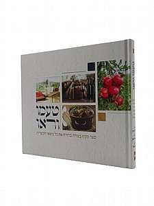 ���� ����