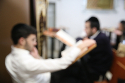 תלמידי ישיבה לומדים גמרא